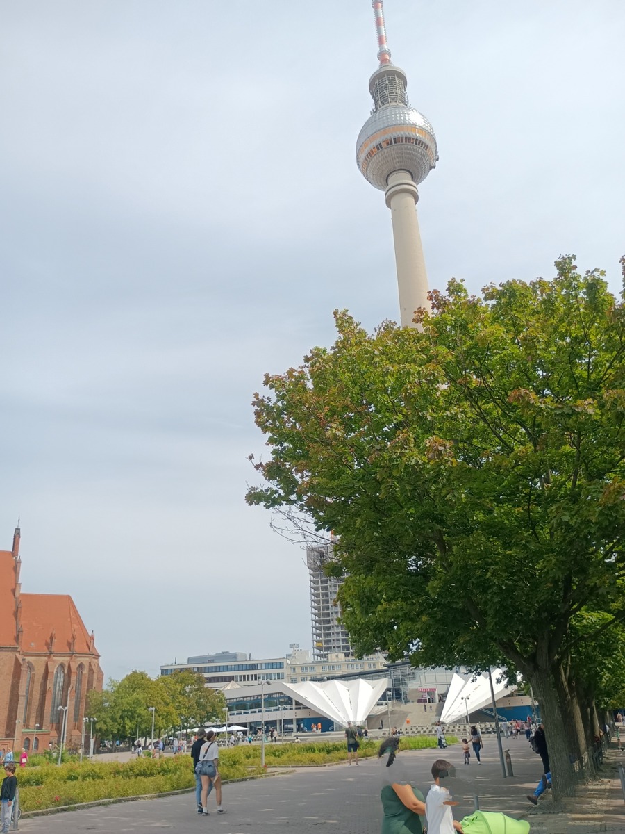 IMG_20250808_114211995~2