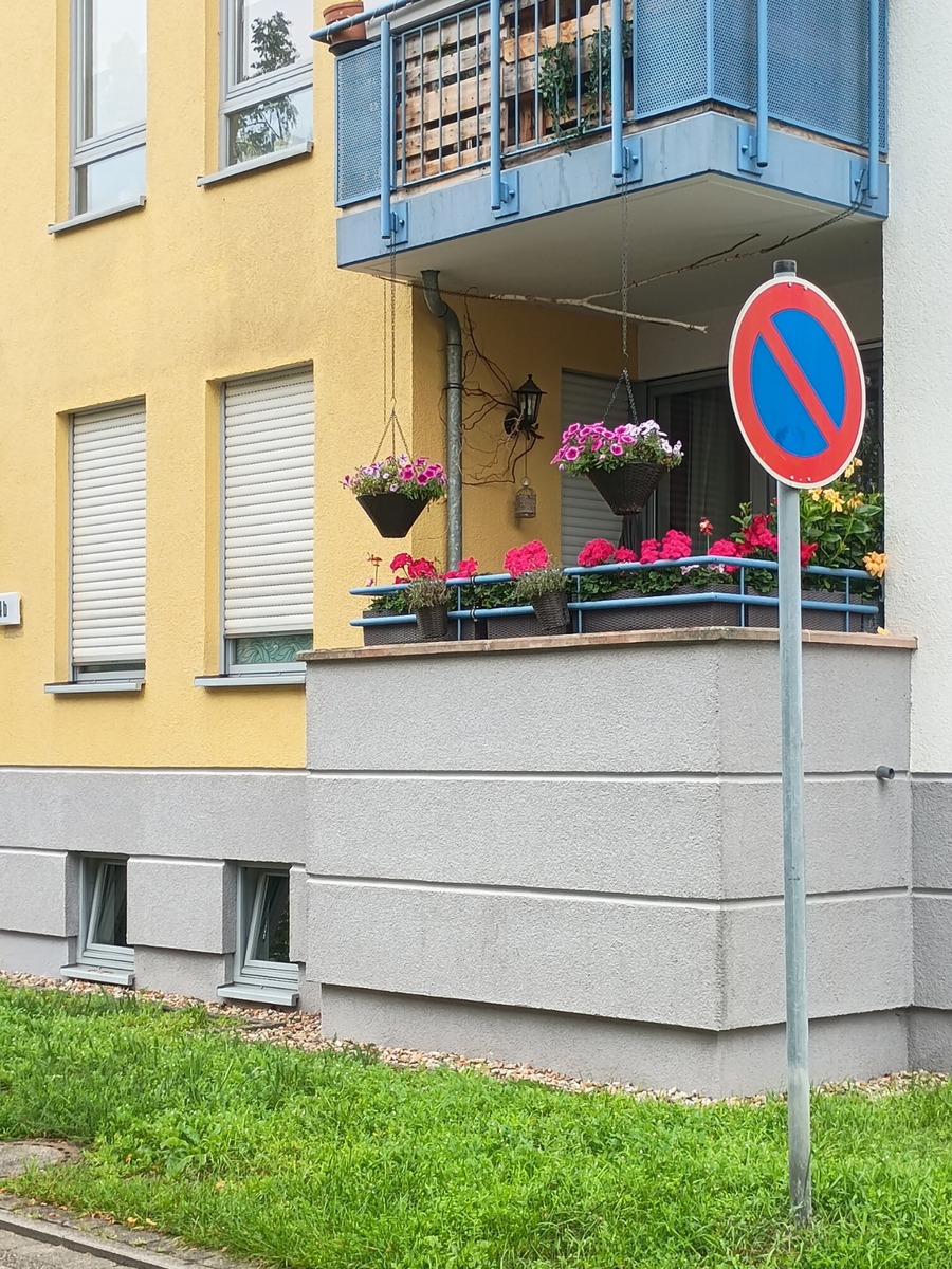 IMG_20250808_082833375