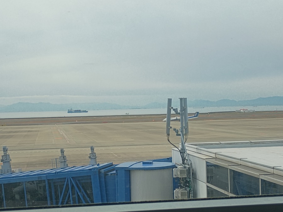 IMG_20250402_130942631