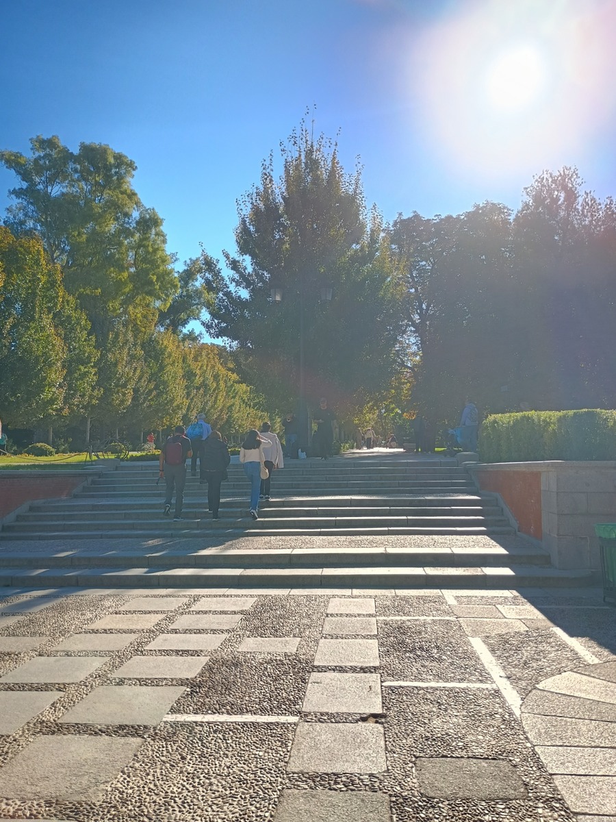 IMG_20251011_111440298_HDR