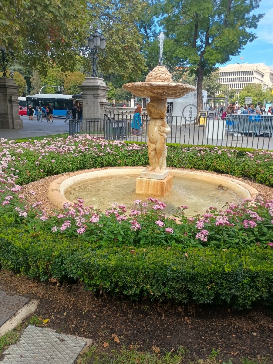IMG_20251010_141914060_HDR