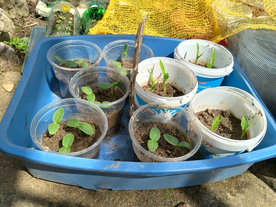 IMG_20250426_113720047_HDR