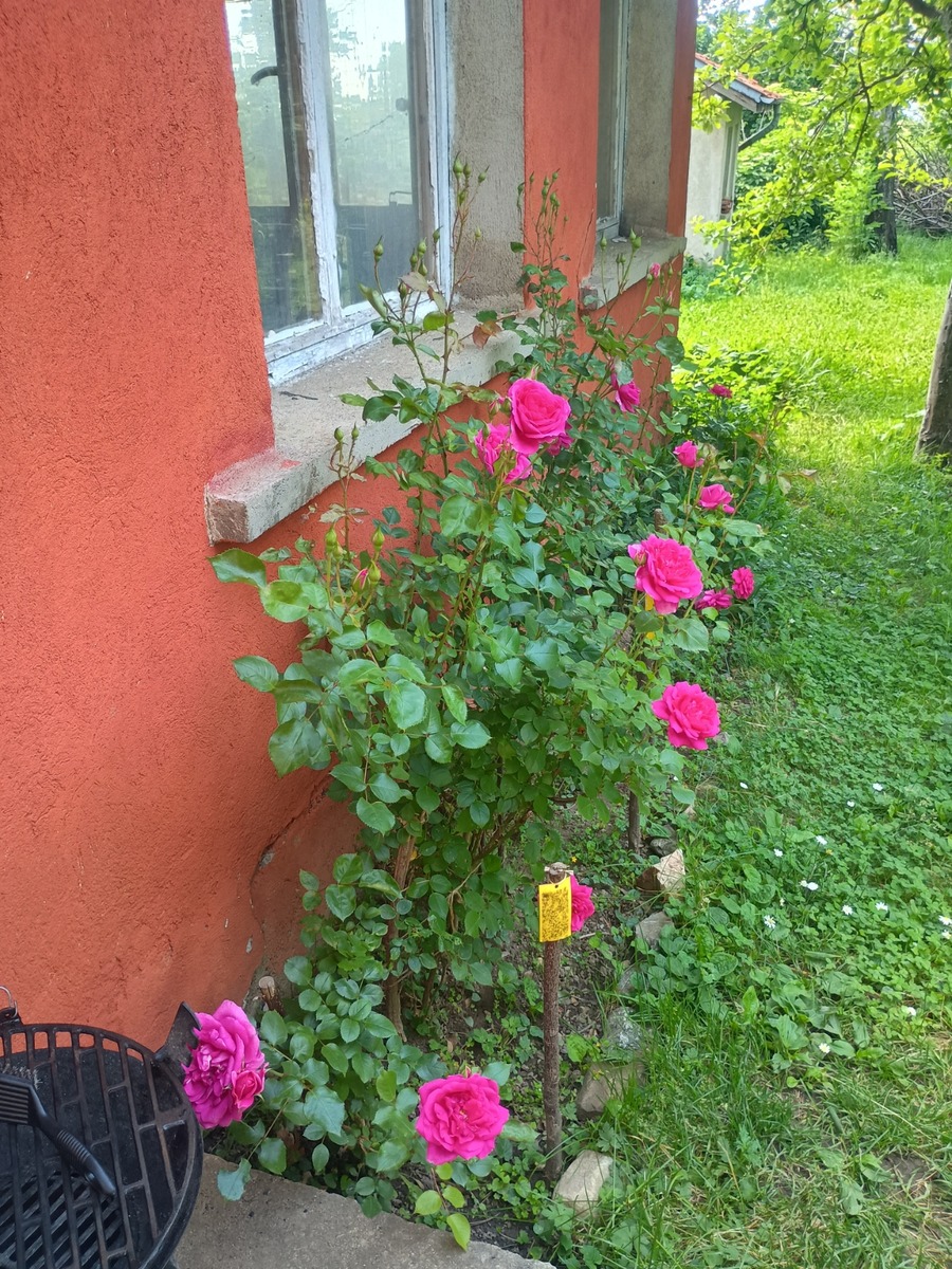 IMG_20250604_113055557_HDR