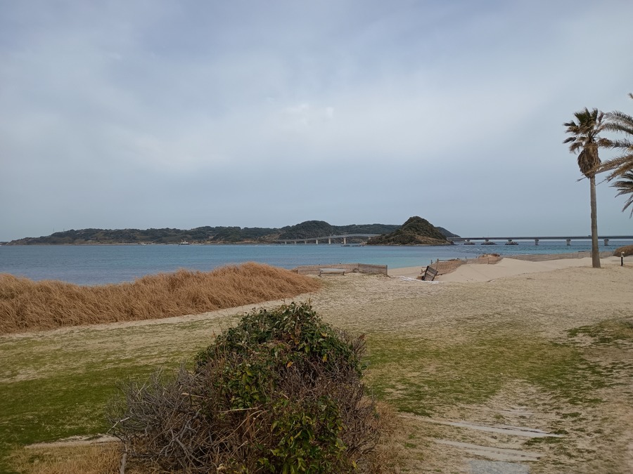 IMG_20250314_085027530