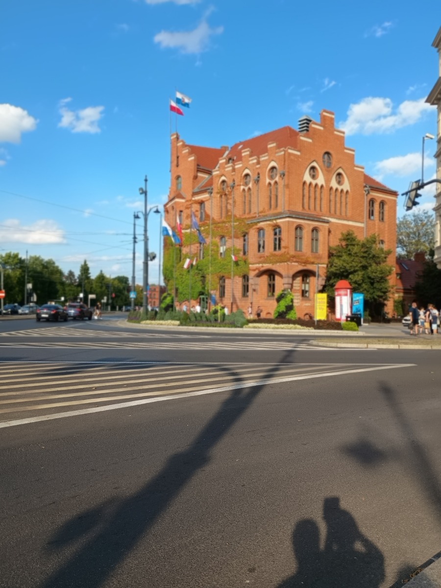 IMG_20250816_174456430_PORTRAIT