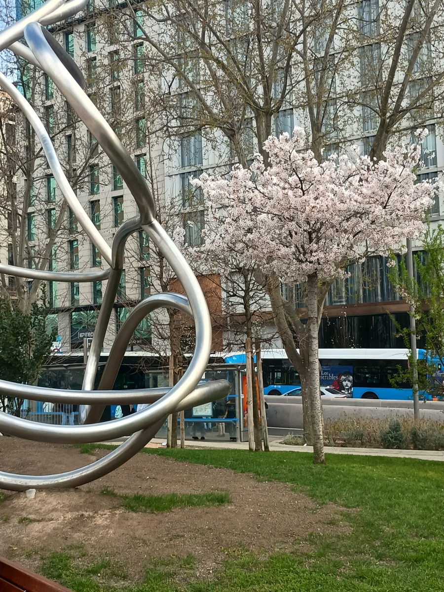 IMG_20260318_141652146_HDR