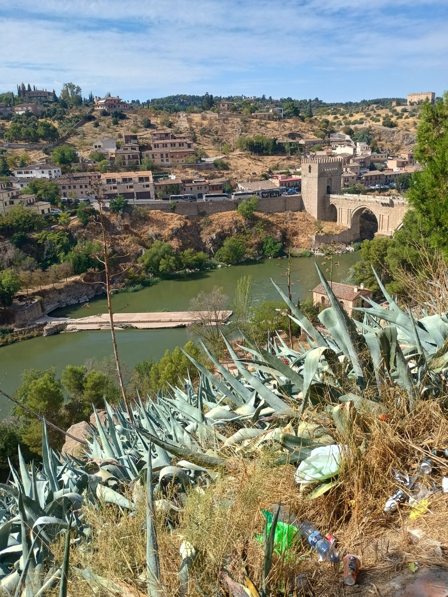 IMG_20251009_131853059_HDR