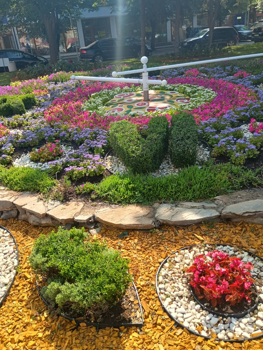 IMG_20250606_101151702_HDR