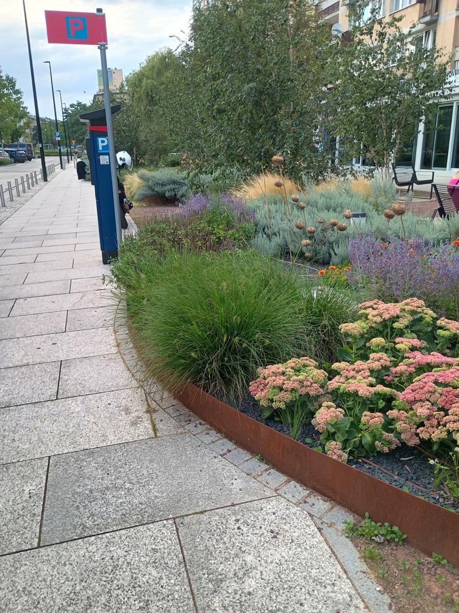 IMG_20250809_195215703_HDR