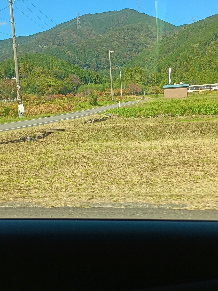 IMG_20251029_111831556_HDR