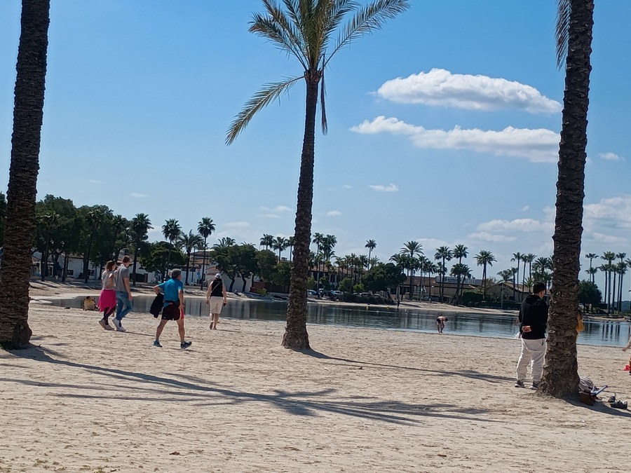 IMG_20260322_121518281