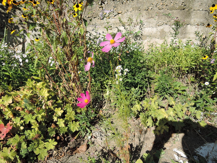 DSCN8188