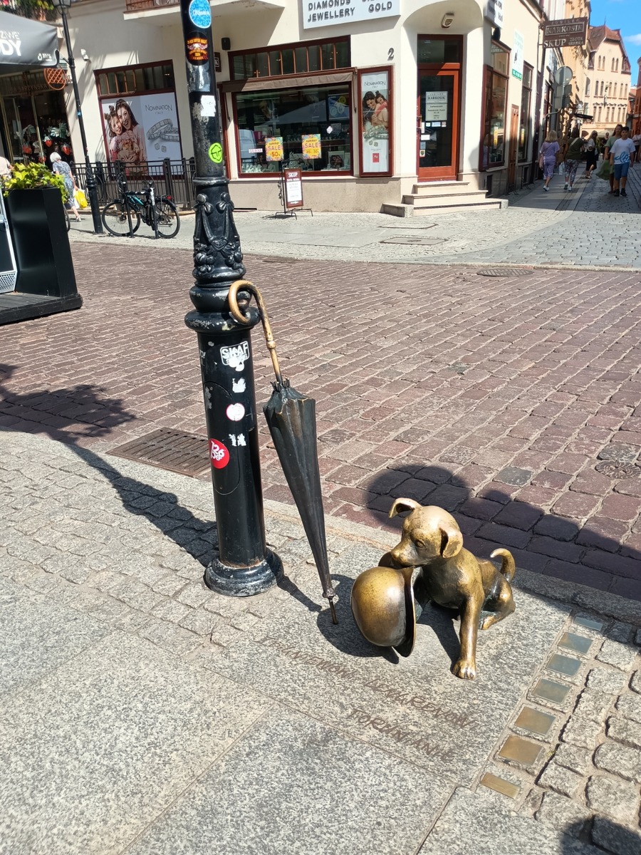 IMG_20250819_123402626