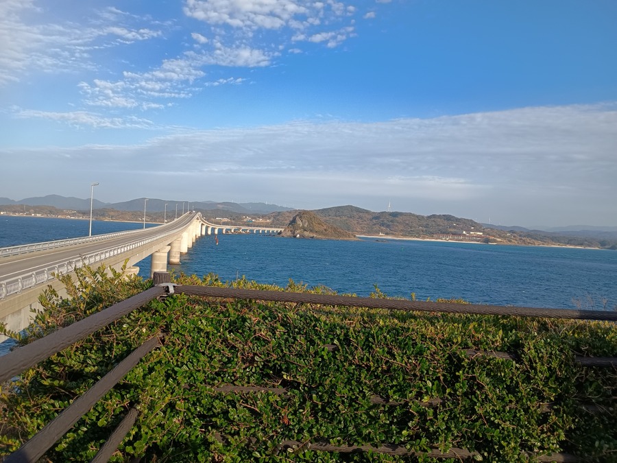 IMG_20250313_165411461