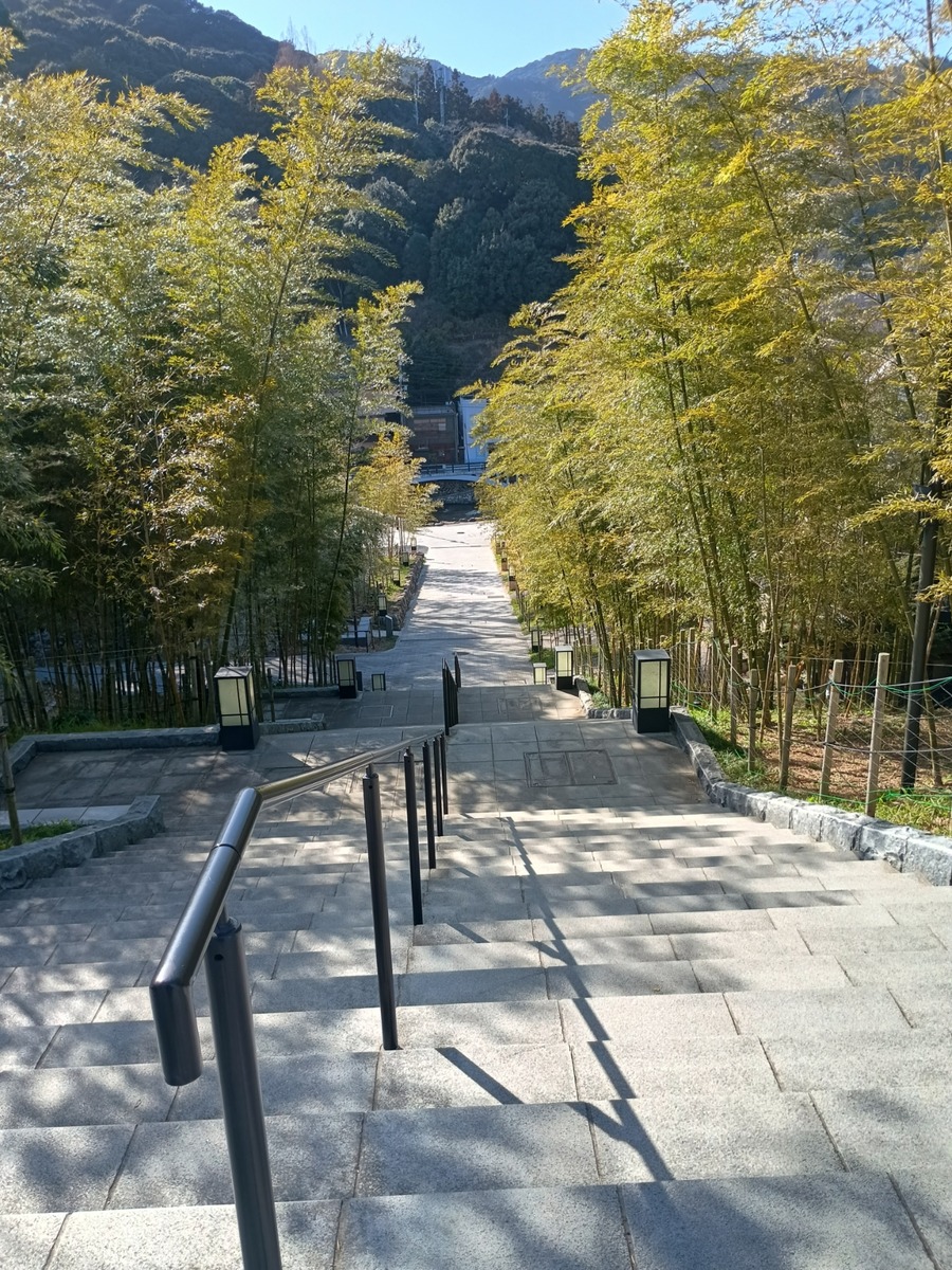 IMG_20250314_154236662_HDR