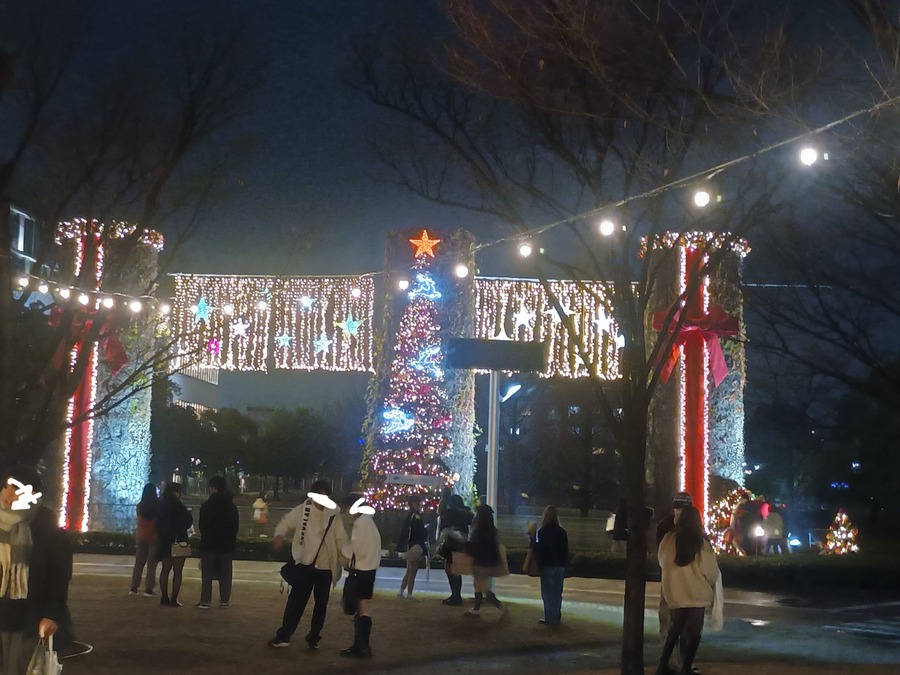IMG_20251224_180739430_HDR~2