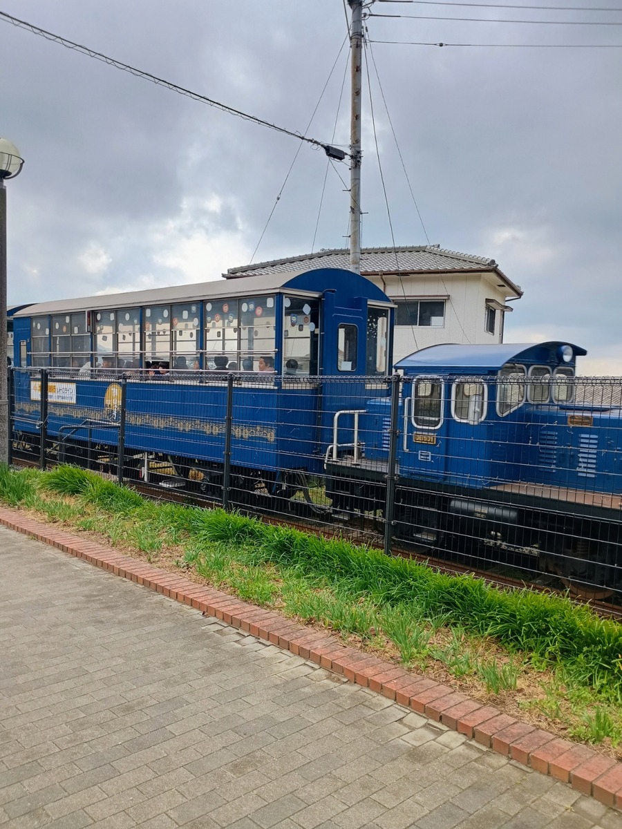 IMG_20250216_130251256_HDR_AE