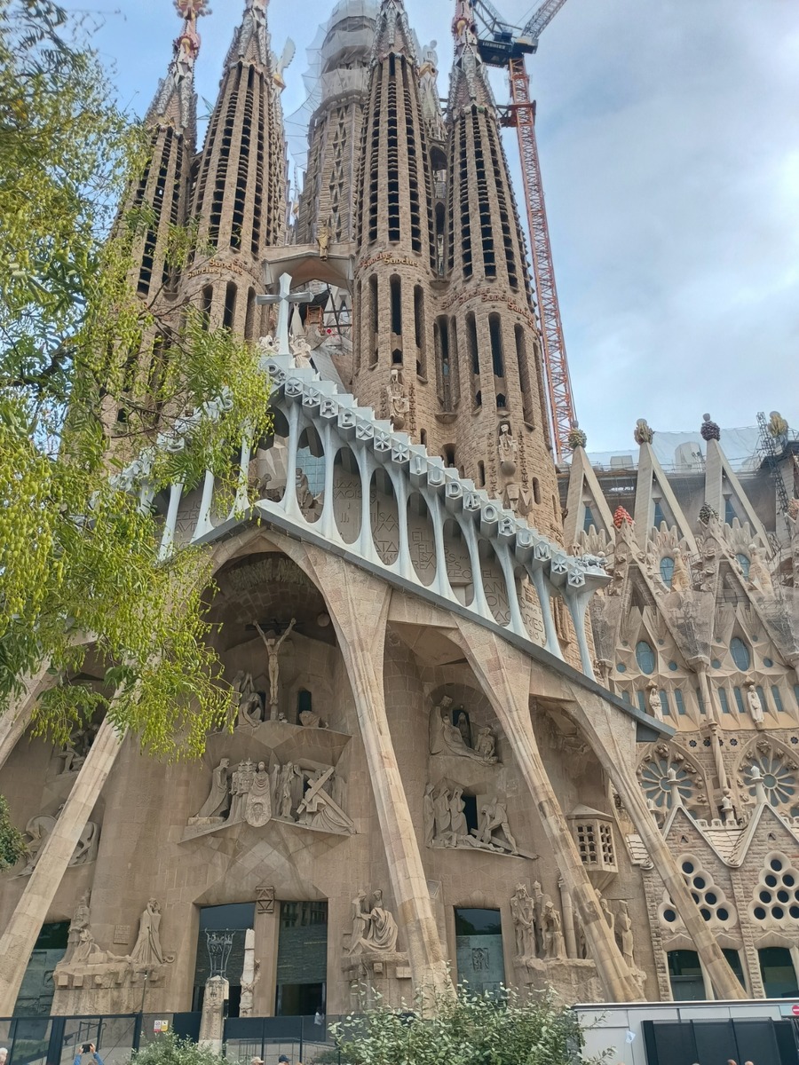 IMG_20251005_100412681_HDR