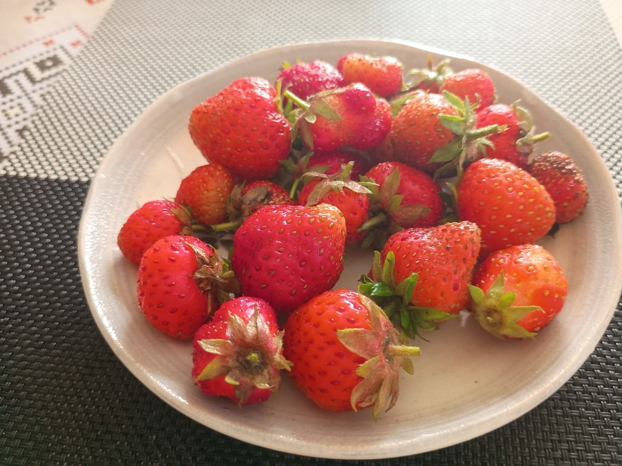 IMG_20250605_083034099