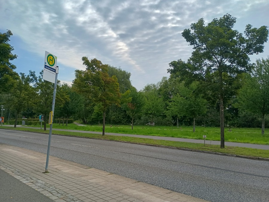 IMG_20250808_084045529_HDR