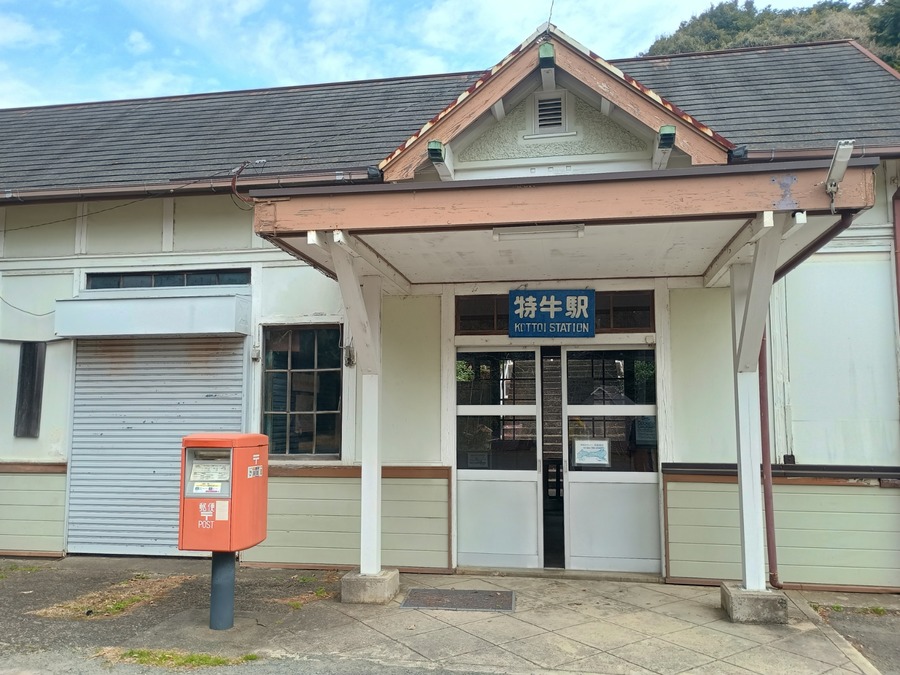 IMG_20250313_113121625_HDR