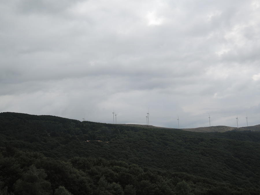 DSCN7306