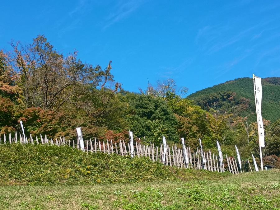 IMG_20251029_112003219_HDR