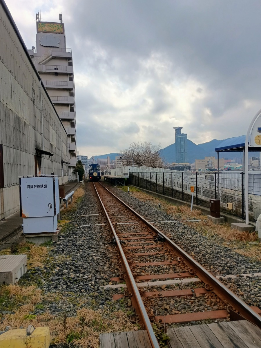 IMG_20250216_130426452_HDR_AE