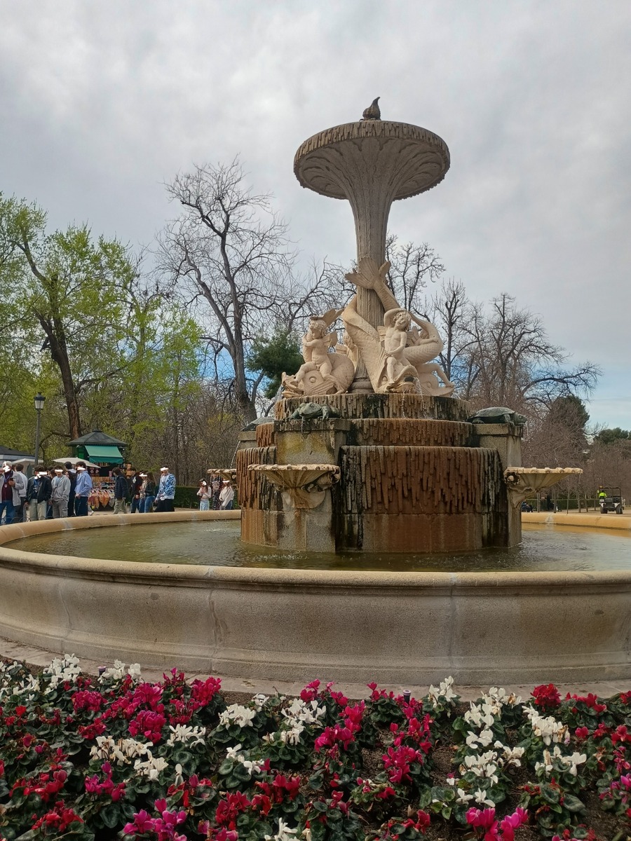 IMG_20260318_111709691_HDR~2