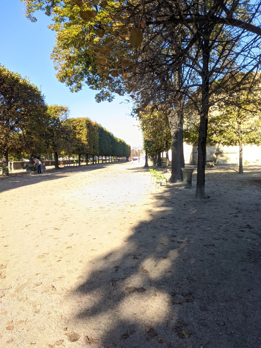 PXL_20220930_084608120