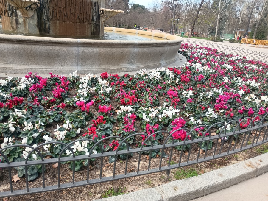 IMG_20260318_111720696
