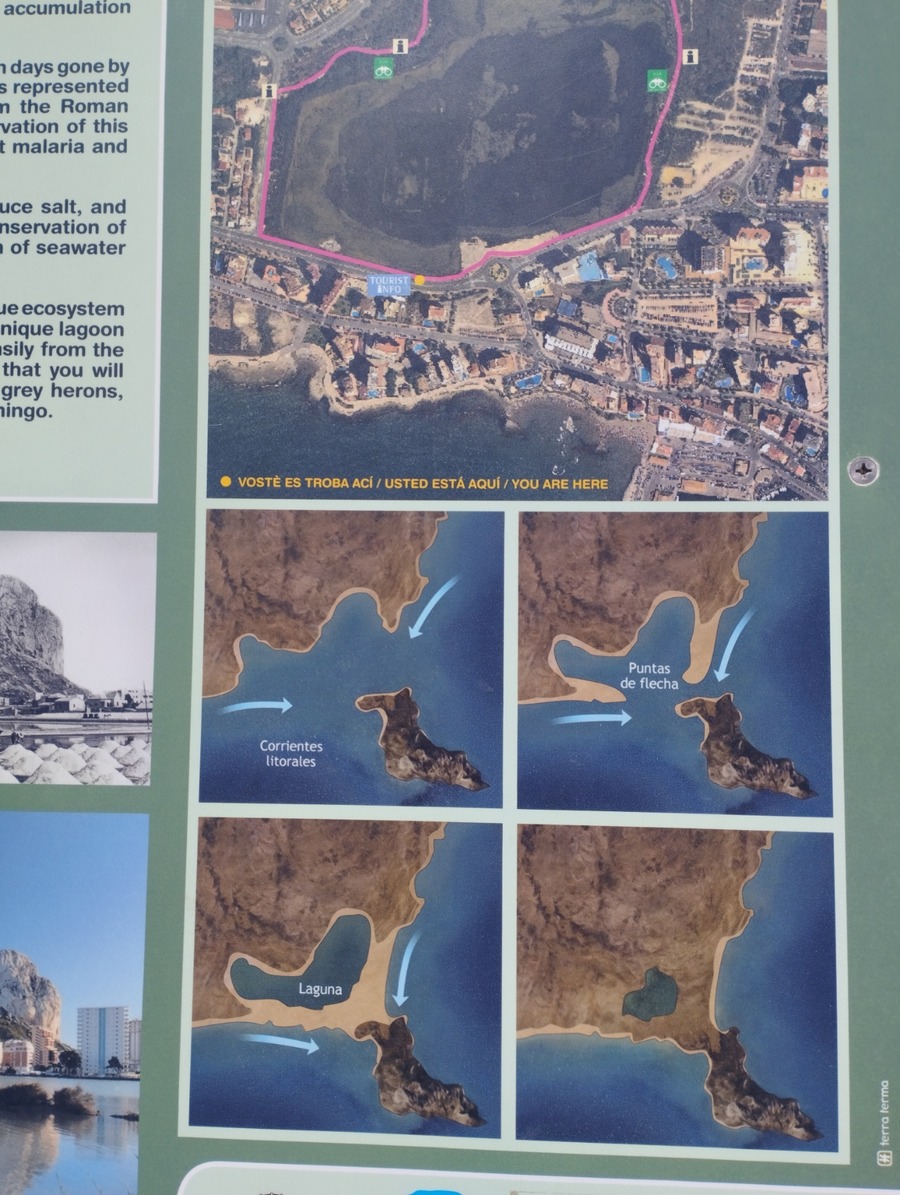 IMG_20240402_131541
