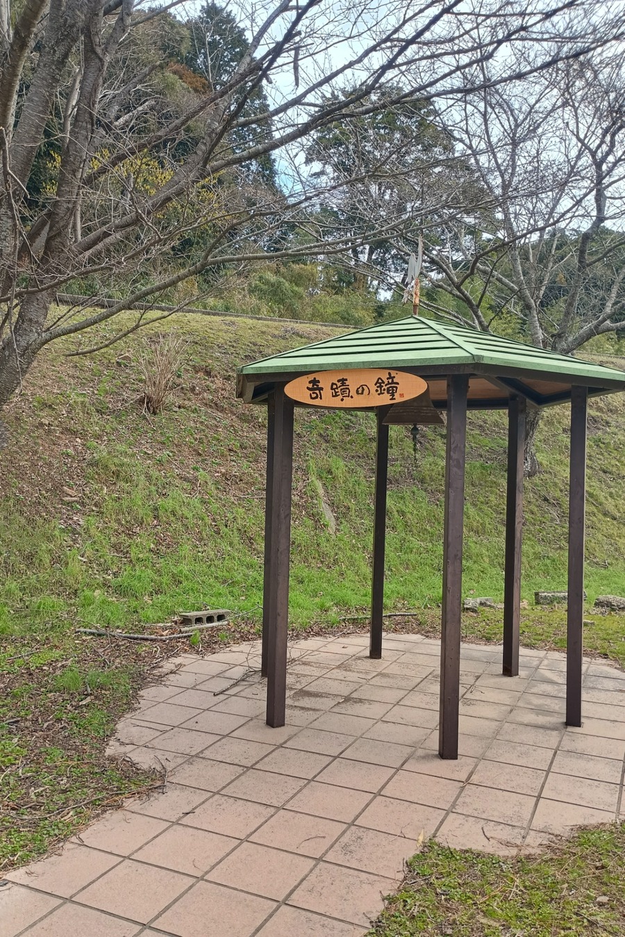 IMG_20250313_112957976_HDR~2