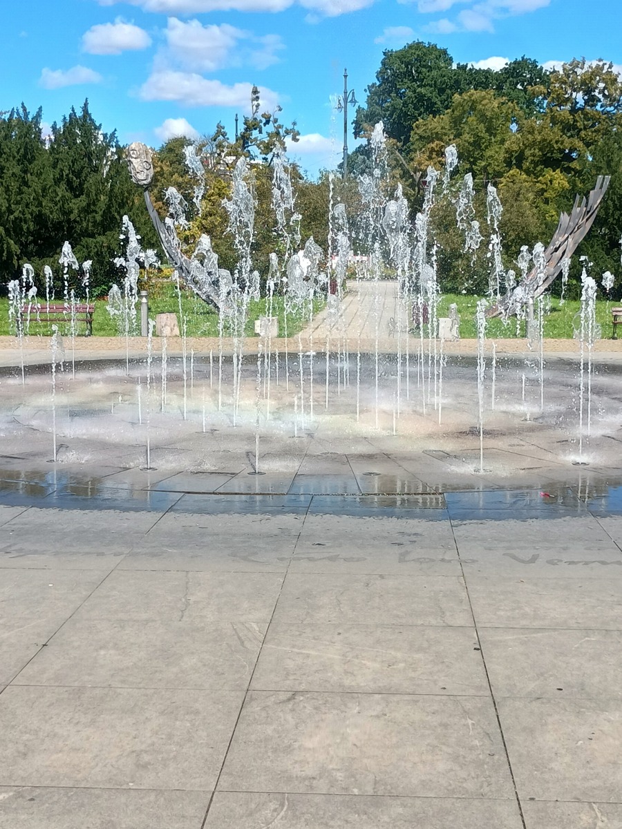 IMG_20250819_114606284_HDR