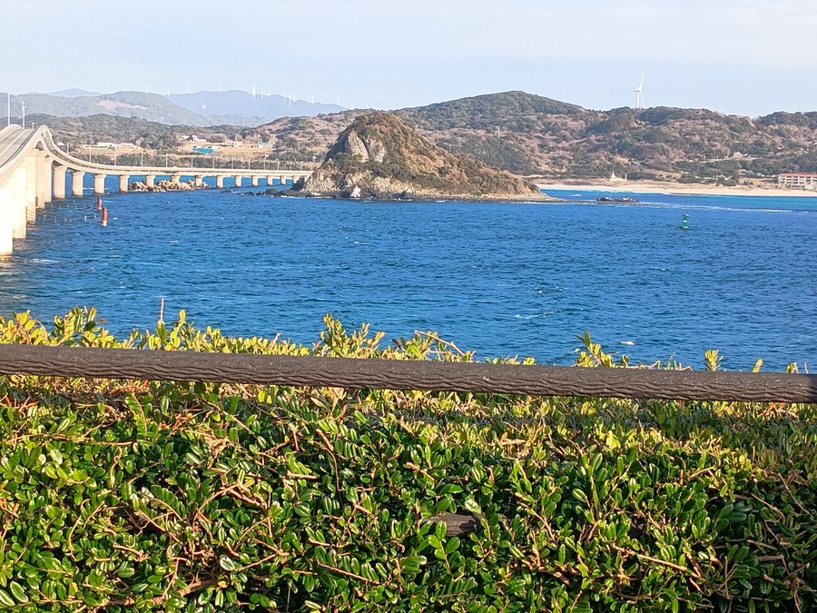 IMG_20250313_165442383