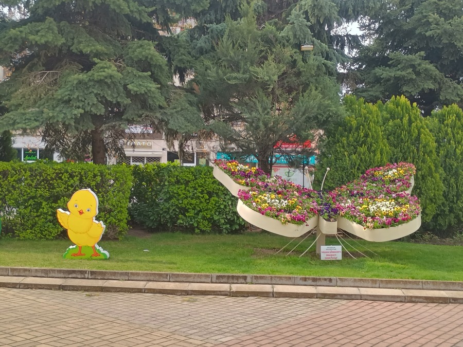 IMG_20250414_100721689_HDR