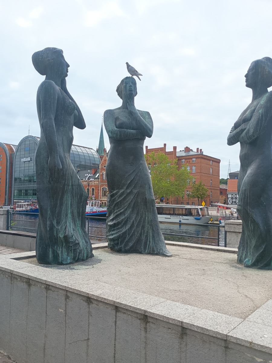 IMG_20250818_110207545