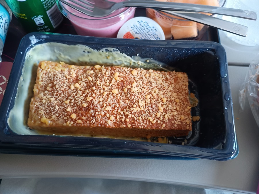 IMG_20250403_082006973