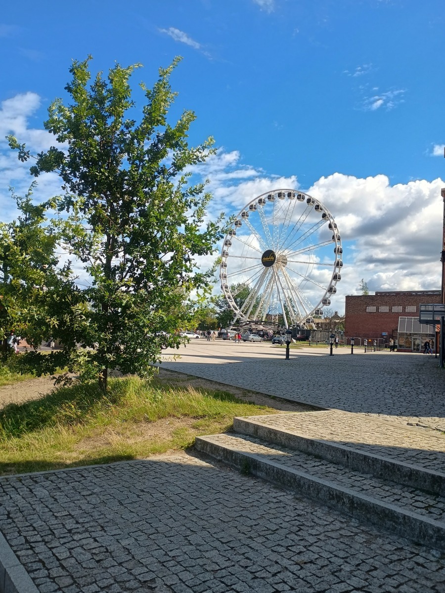 IMG_20250824_121920086_HDR