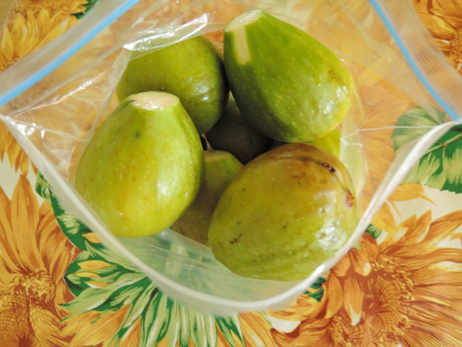 DSCN9912