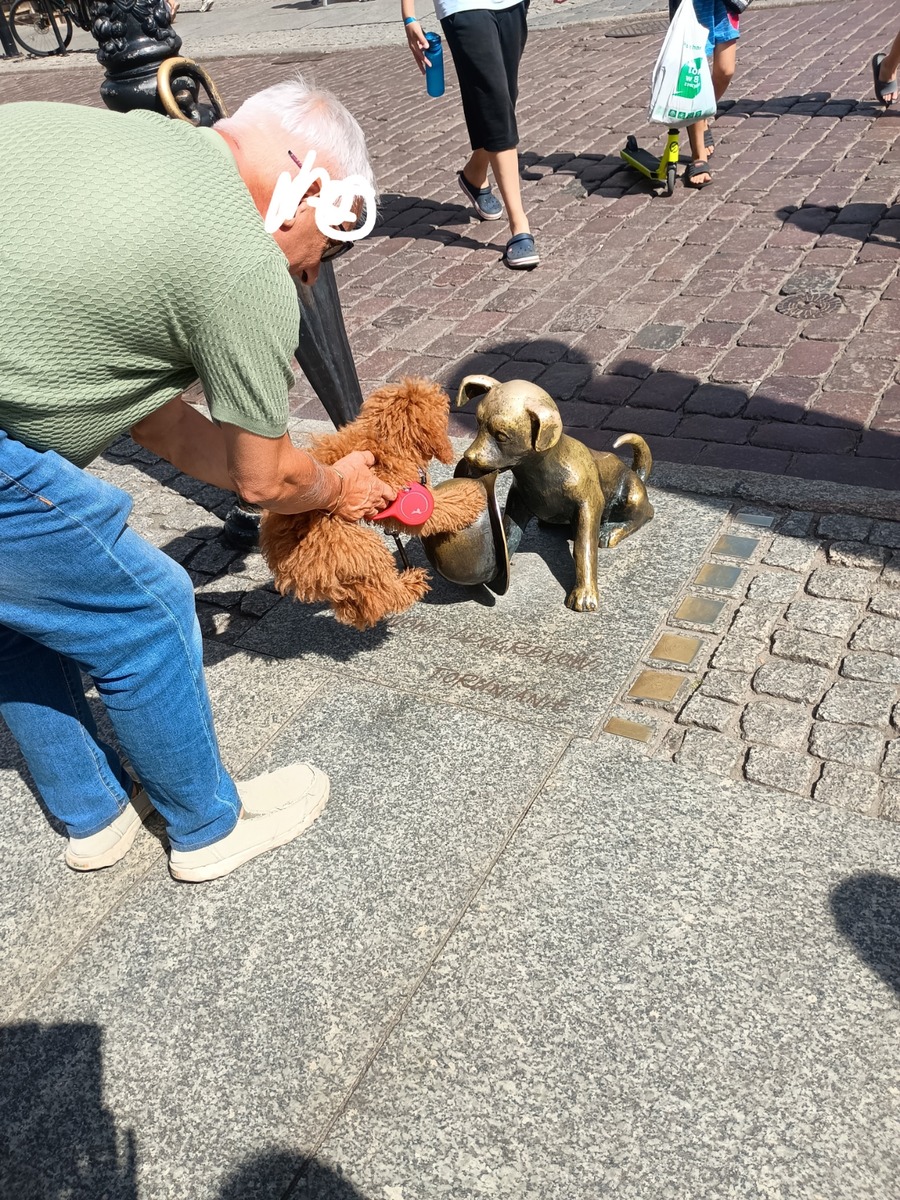 IMG_20250819_123356732~2