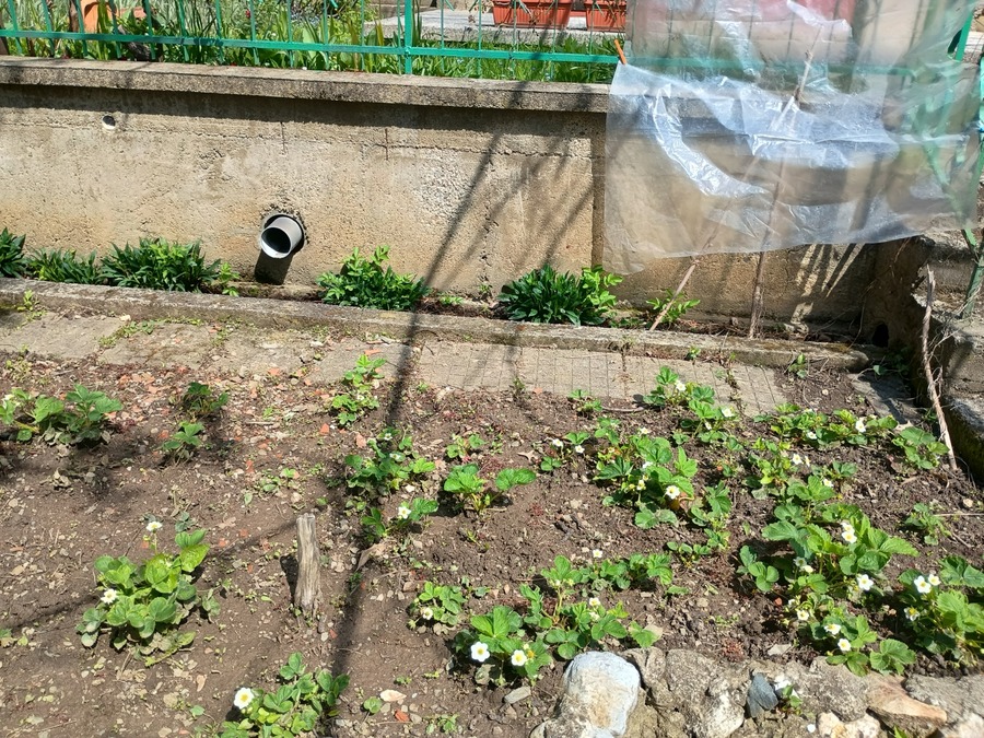 IMG_20250426_113656892_HDR