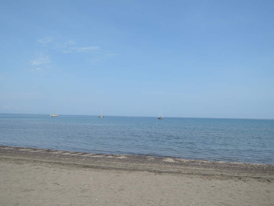 DSCN9437
