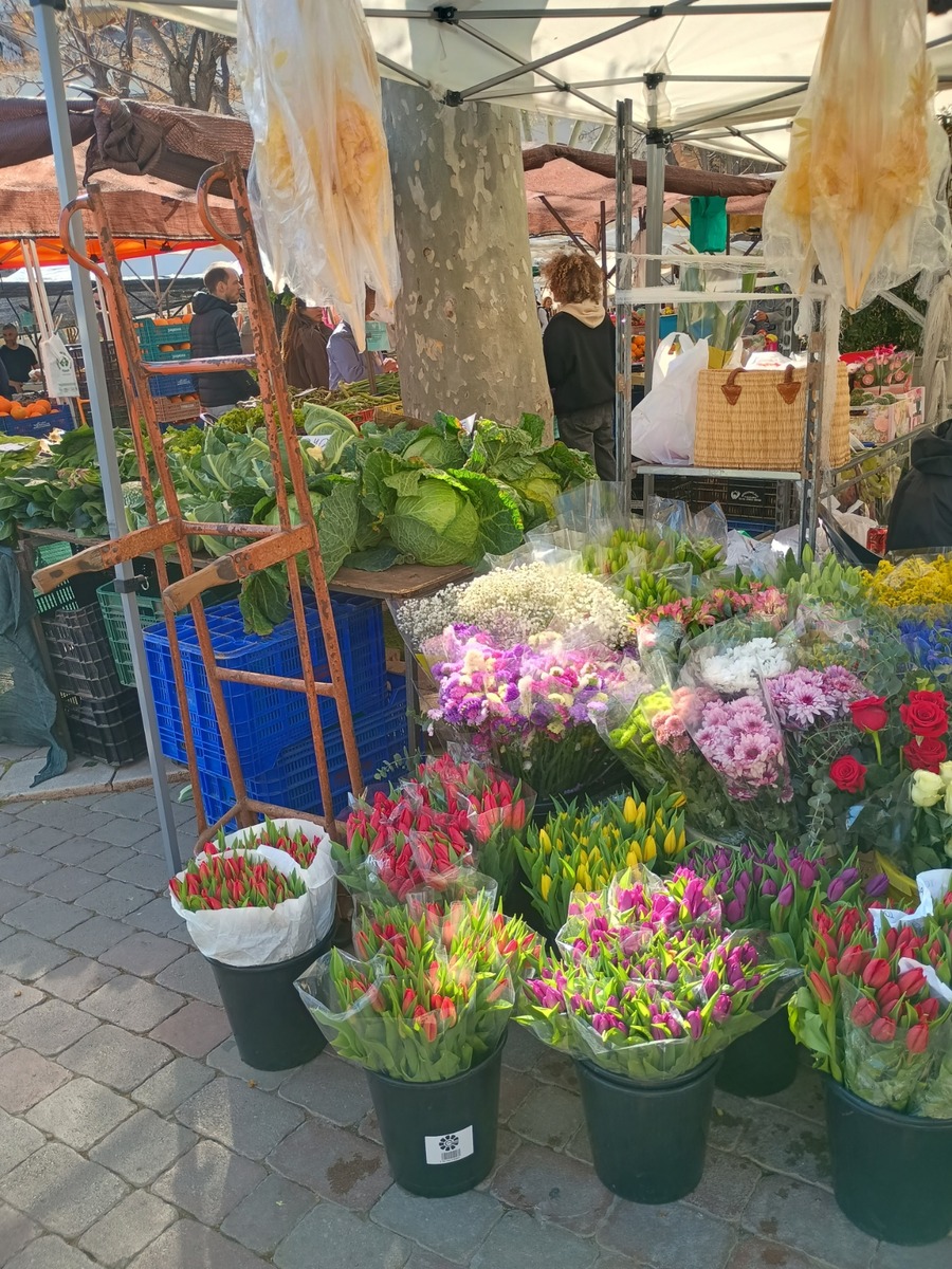 IMG_20260322_102342533_HDR