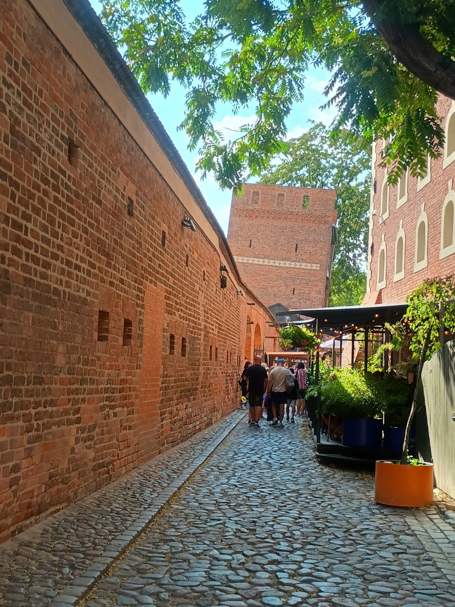 IMG_20250816_161958765_HDR