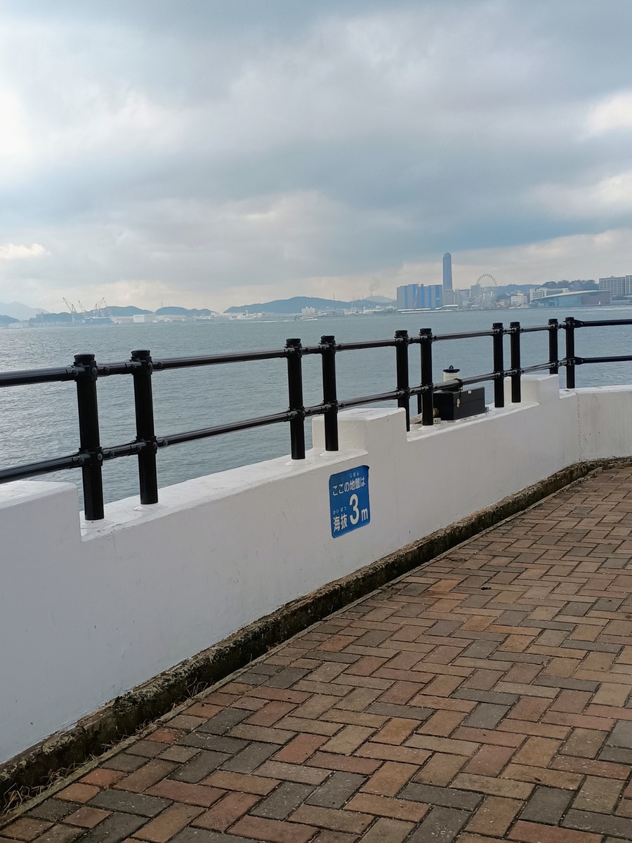 IMG_20250216_125246674_AE