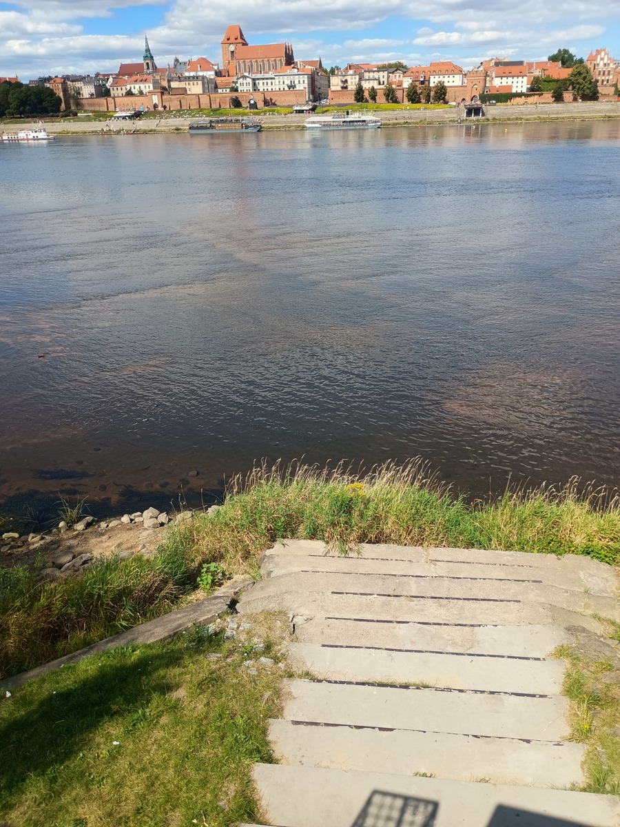 IMG_20250817_130803054