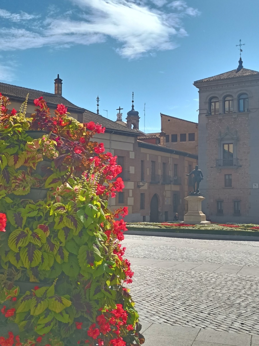 IMG_20251008_135101127_HDR