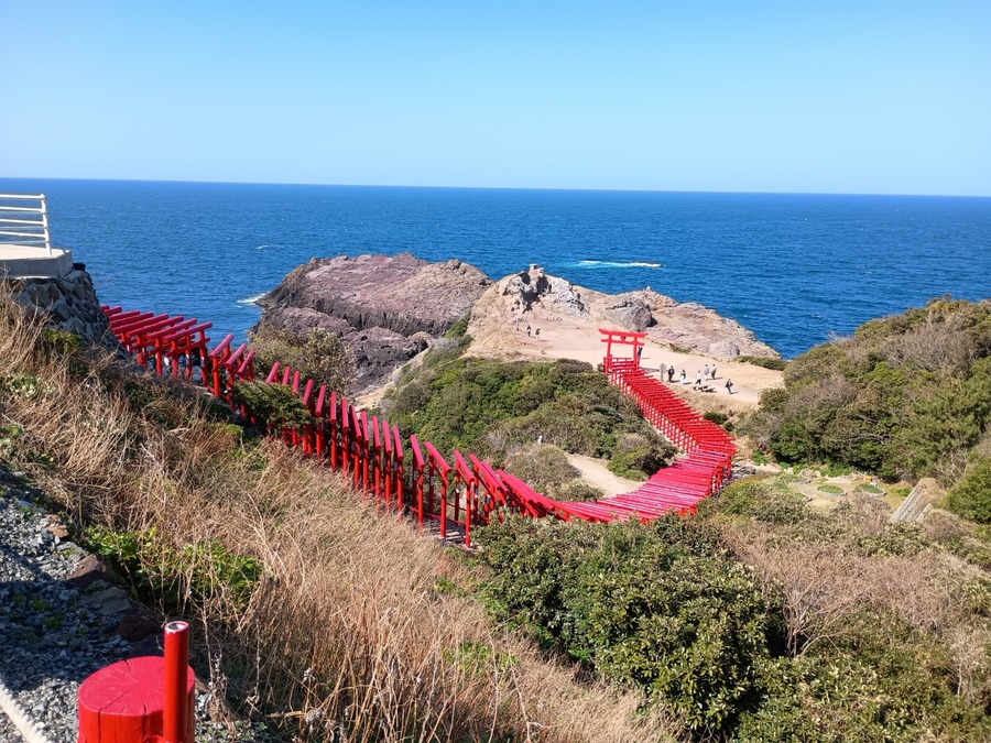 IMG_20250314_141755547