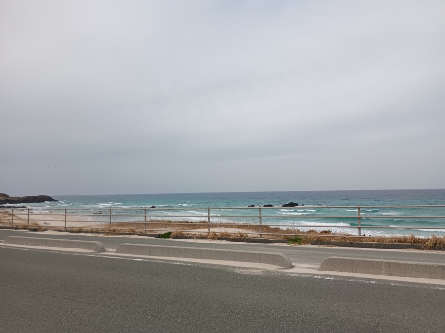 IMG_20250313_124923783